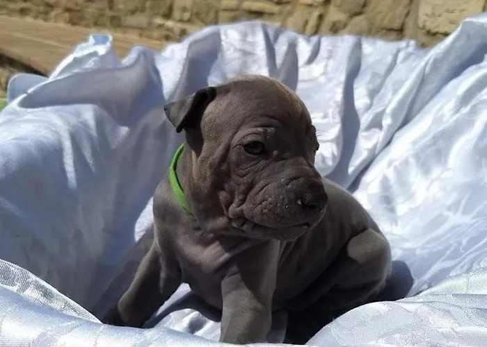 Agriturismo Il Moro Gubbio